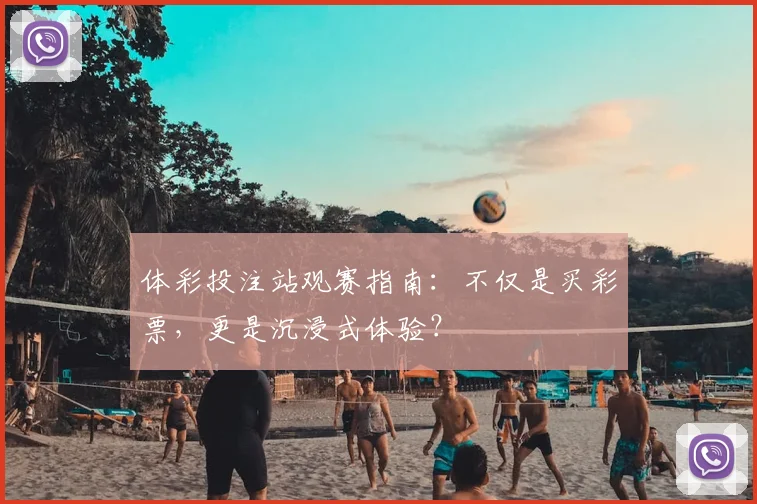 体彩投注站观赛指南：不仅是买彩票，更是沉浸式体验？