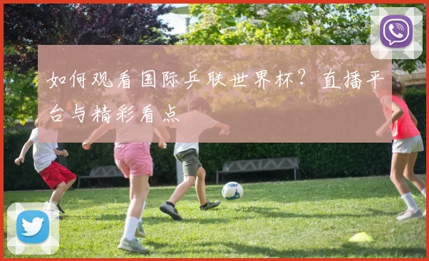 如何观看国际乒联世界杯？直播平台与精彩看点