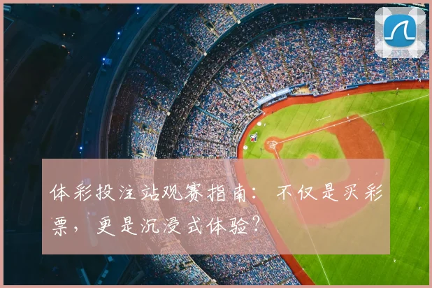体彩投注站观赛指南:不仅是买彩票,更是沉浸式体验?
