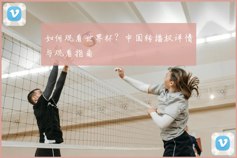 如何观看世界杯？中国转播权详情与观看指南