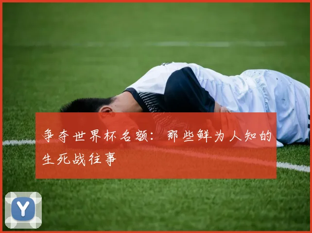 争夺世界杯名额：那些鲜为人知的生死战往事