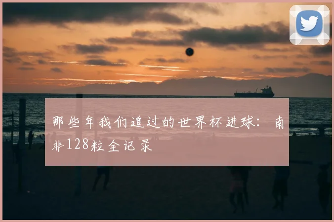 那些年我们追过的世界杯进球：南非128粒全记录