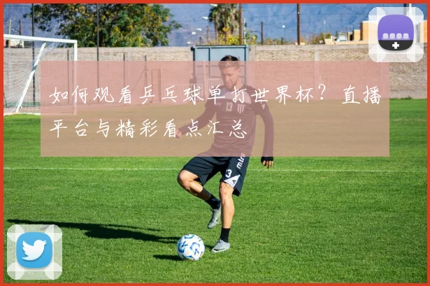 如何观看乒乓球单打世界杯？直播平台与精彩看点汇总