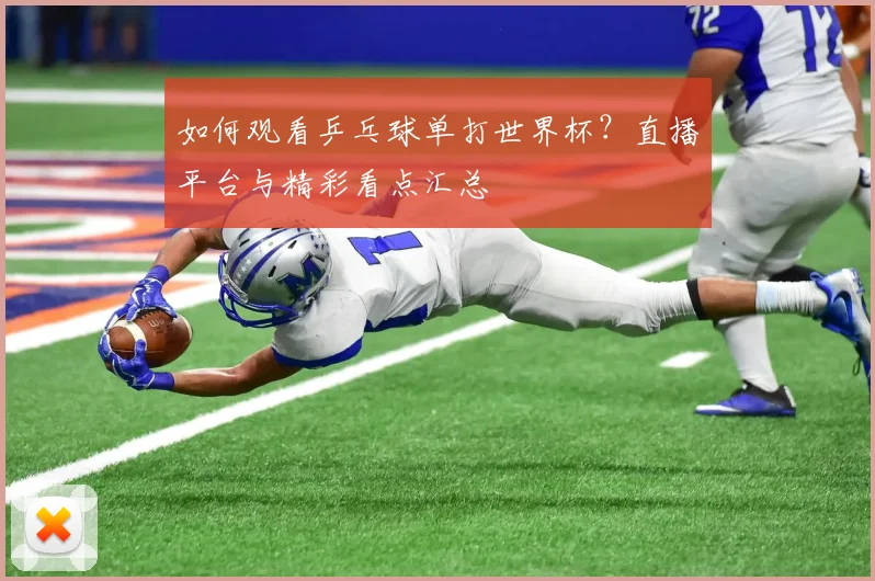 如何观看乒乓球单打世界杯？直播平台与精彩看点汇总