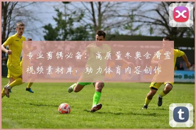 专业剪辑必备：高质量冬奥会滑雪视频素材库，助力体育内容创作