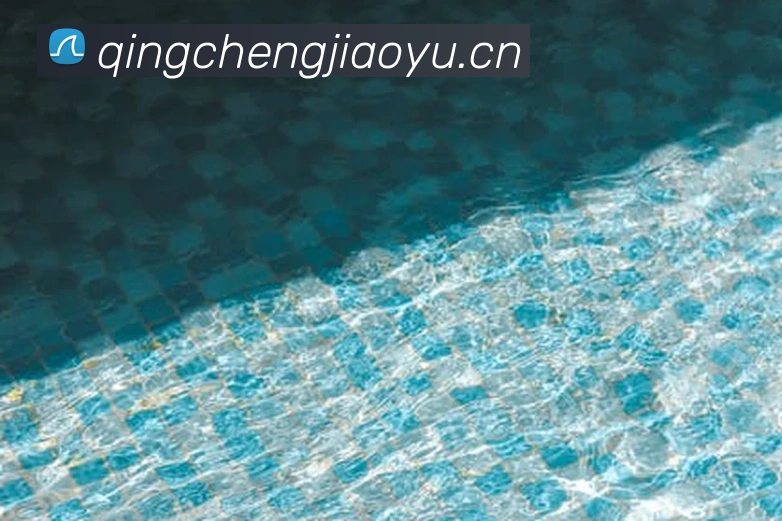 开云官方链接平台生态图